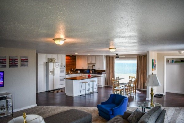 Open-plan living room and kitchen